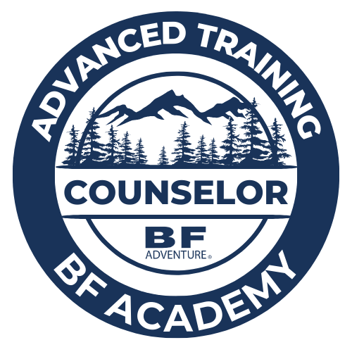 counsulor advanced